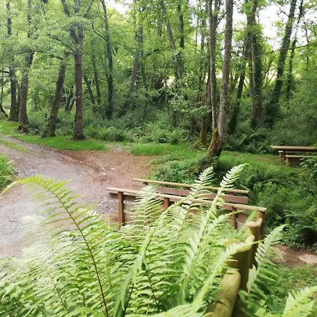 Bed & Breakfast Les De L'estelou