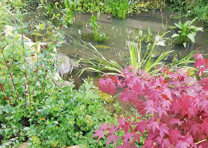 Les De L'estelou Clarens (Hautes-Pyrenees)