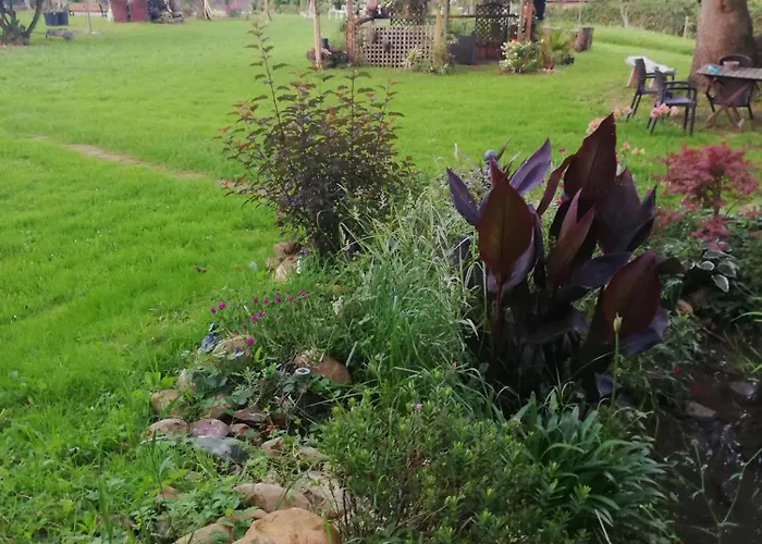 Couette-café Les De L'estelou Clarens (Hautes-Pyrenees)